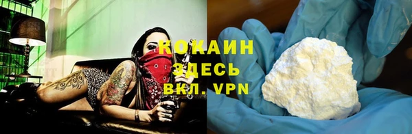 твердый Шадринск