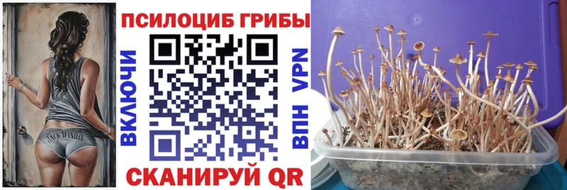 Галлюциногенные грибы ЛСД  купить наркотик  Монино 